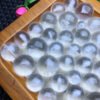 White crystal ball size 10~15mm