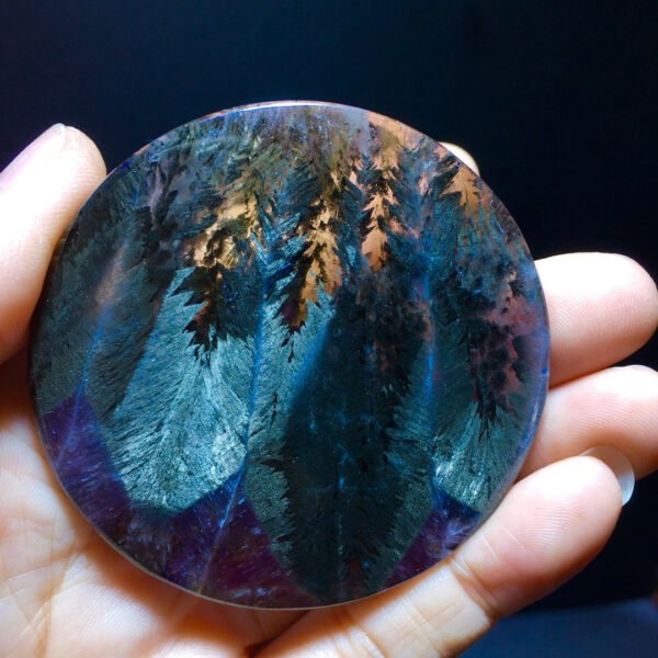Black Aurora Feather 🪶 Small trees 🌲 Forest Pendant Pendant Pendant Round Label Men's and Women's Sizes 60.6/7.5mm2410588316