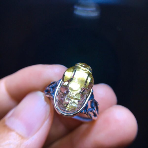 Pure natural titanium crystal pixiu ring for men and women, size: 16/10.4mm2710278348
