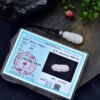 wsxc1698418293792_4 The natural Hotan Jade sheep fat jade mythical wild animal pendant! Pendant size: 39.7/19.2/14mm2710289164