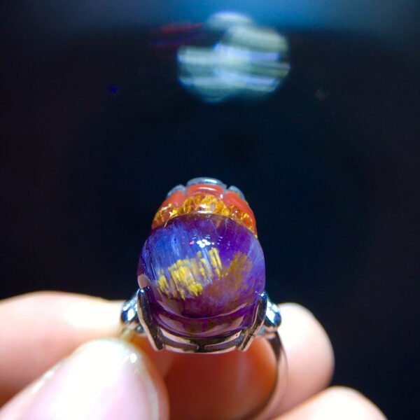 wsxc1699214162831_3 Aurora 23 Aurora Titanium Purple Titanium Pixiu Ring for Men and Women, Size: 18.1/13mm0511418781