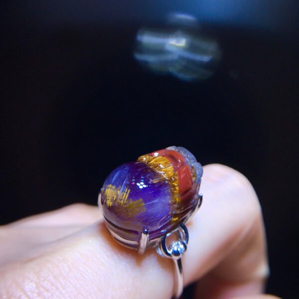 wsxc1699214162831_6 Aurora 23 Aurora Titanium Purple Titanium Pixiu Ring for Men and Women, Size: 18.1/13mm0511418781