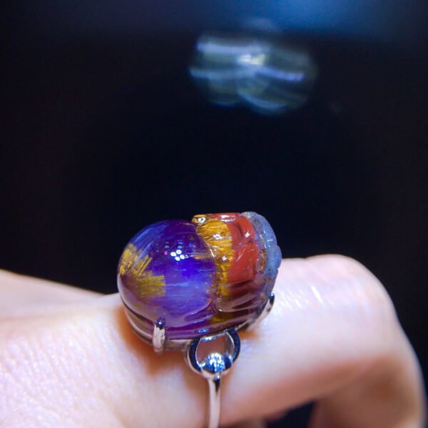 wsxc1699214162831_7 Aurora 23 Aurora Titanium Purple Titanium Pixiu Ring for Men and Women, Size: 18.1/13mm0511418781