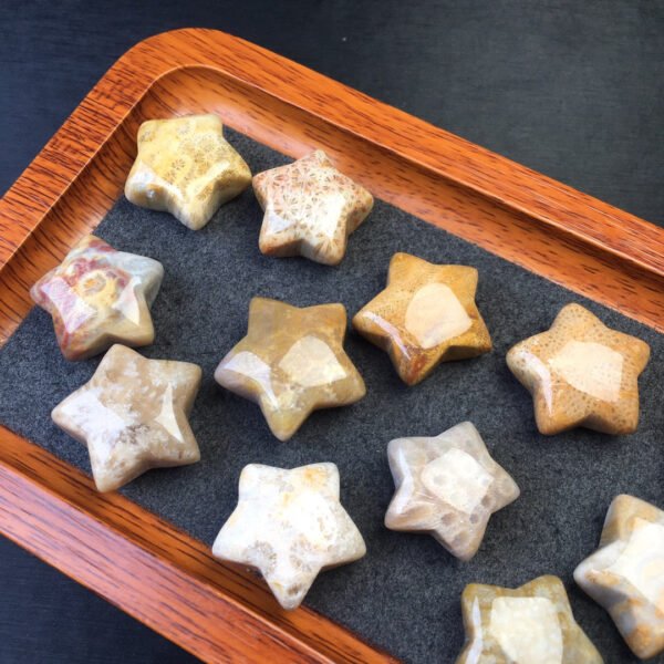 Coral jade pentagram 💕 Specification 25mm1111005136